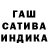 ГАШ гарик Gagah100