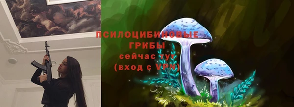 apvp Абинск